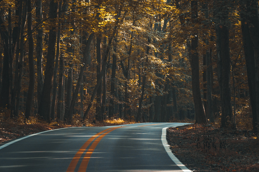 Straße im Wald