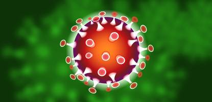 Symbol-Grafik eines Virus © Grafik: www.pixabay.com