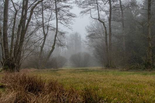 Naturschutzförderung
