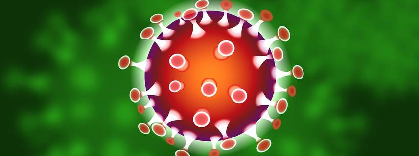 Symbol-Grafik eines Virus ©Grafik: www.pixabay.com